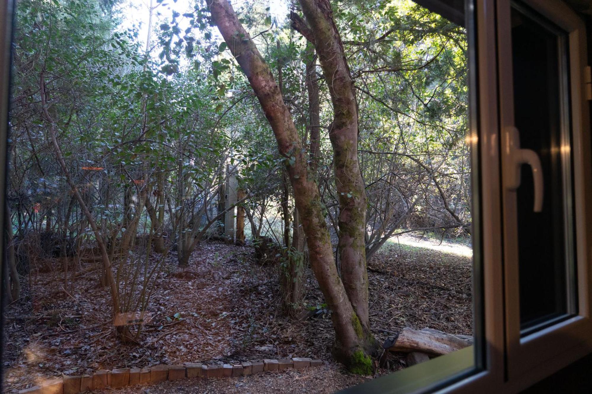 Casa En El Bosque Сasa de vacaciones *